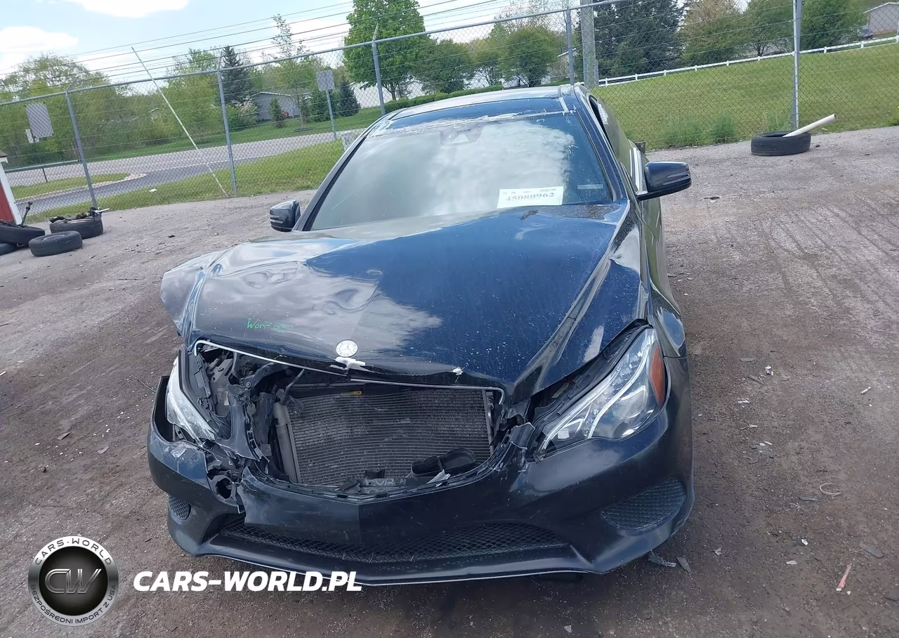 2016 Mercedes-Benz E 400 4Matic VIN:WDDKJ6HB1GF317202 - 12