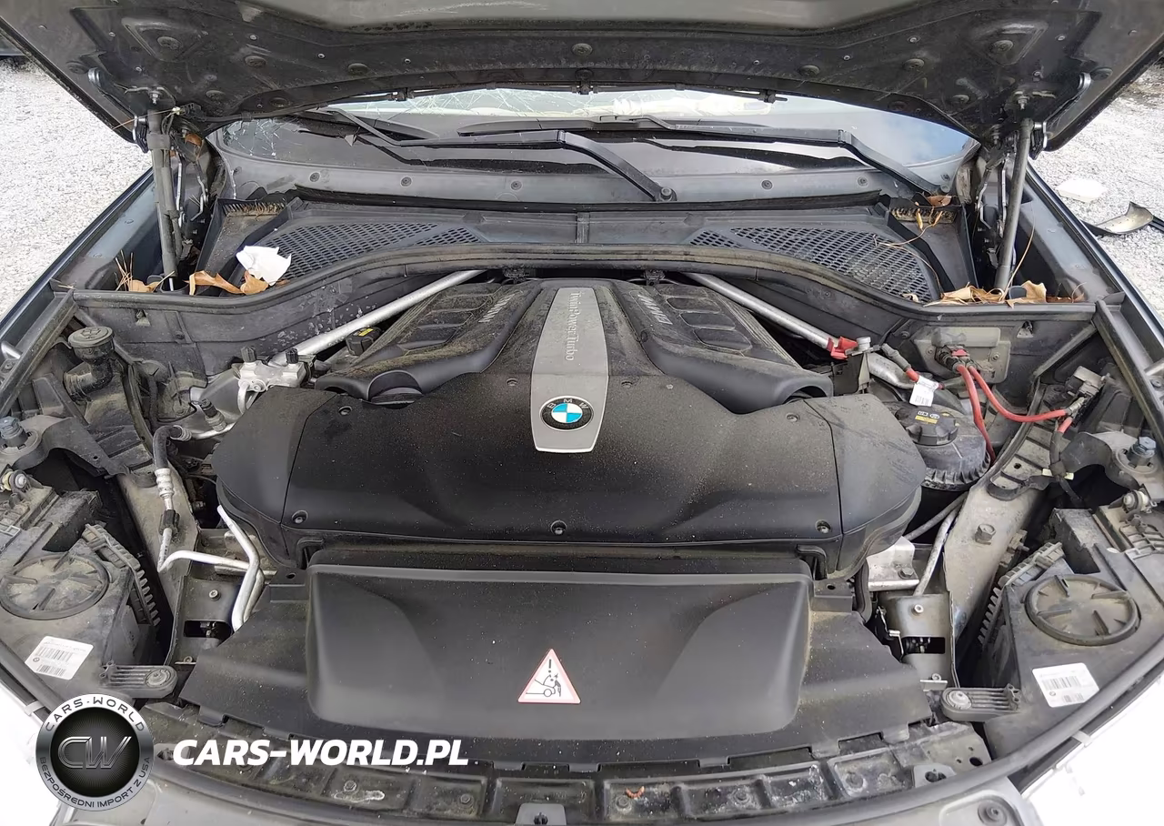 2016 BMW X6 xDrive50I VIN:5UXKU6C53G0R34444 - 10