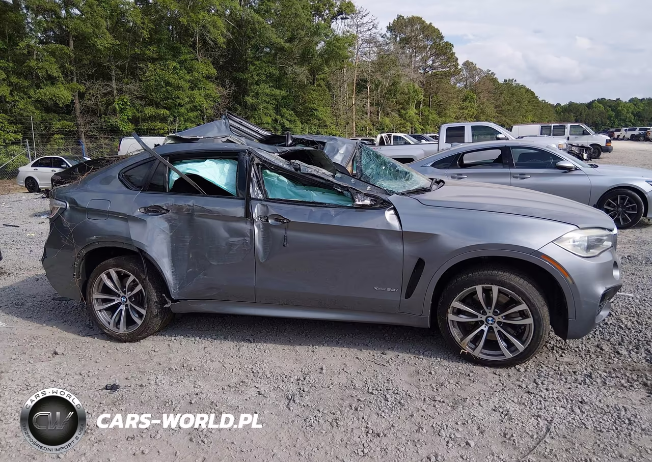 2016 BMW X6 xDrive50I VIN:5UXKU6C53G0R34444 - 13