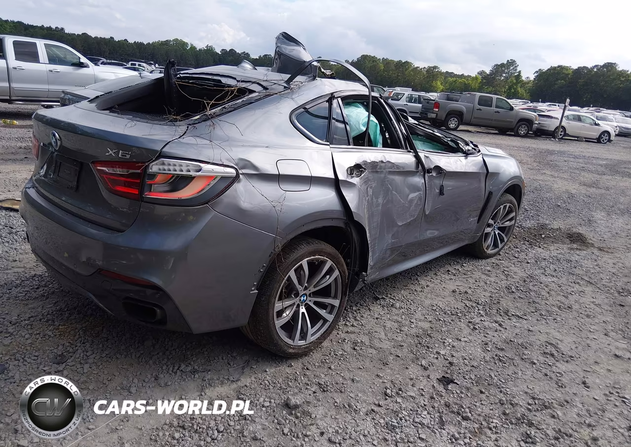 2016 BMW X6 xDrive50I VIN:5UXKU6C53G0R34444 - 4