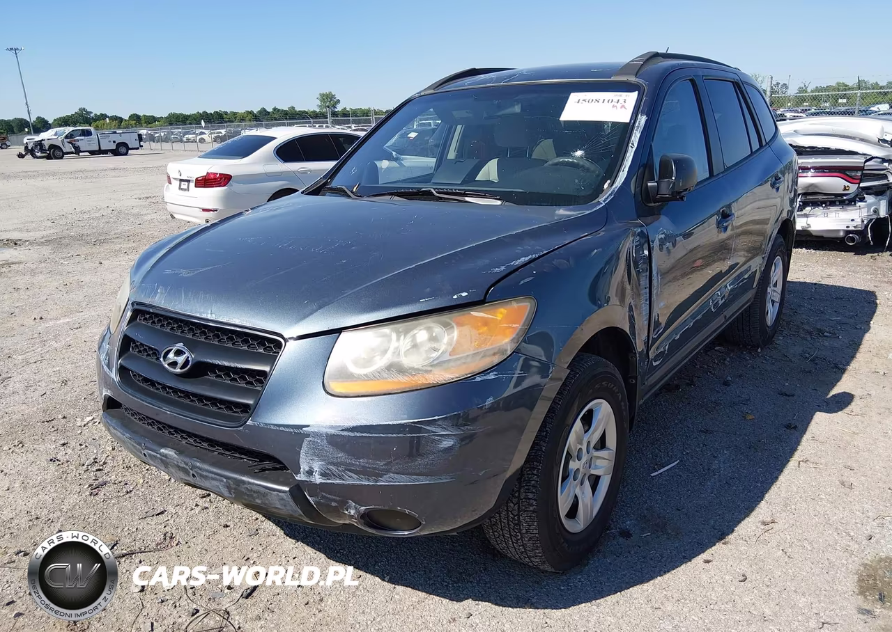 2009 Hyundai Santa Fe Gls VIN:5NMSG13D39H251729 - 2