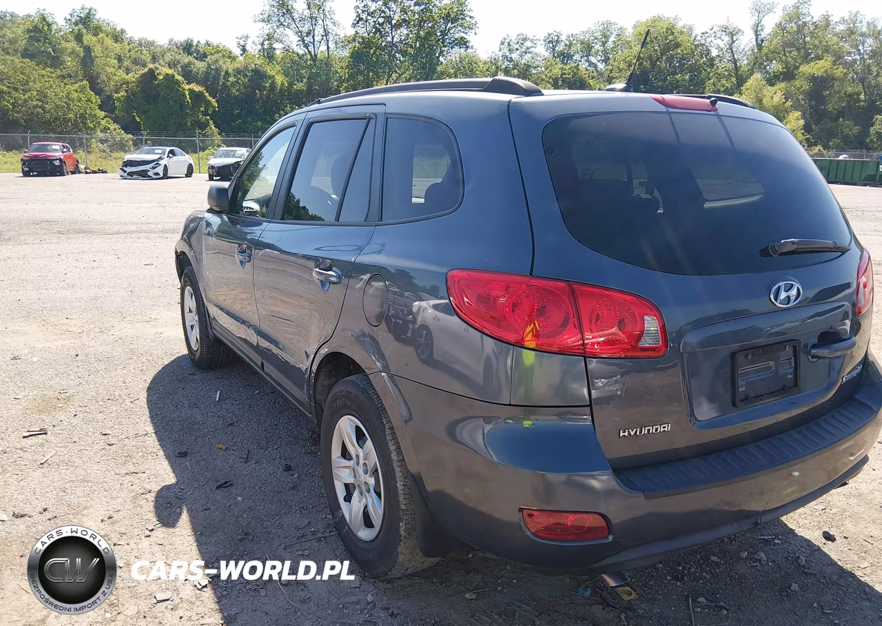 2009 Hyundai Santa Fe Gls VIN:5NMSG13D39H251729 - 3