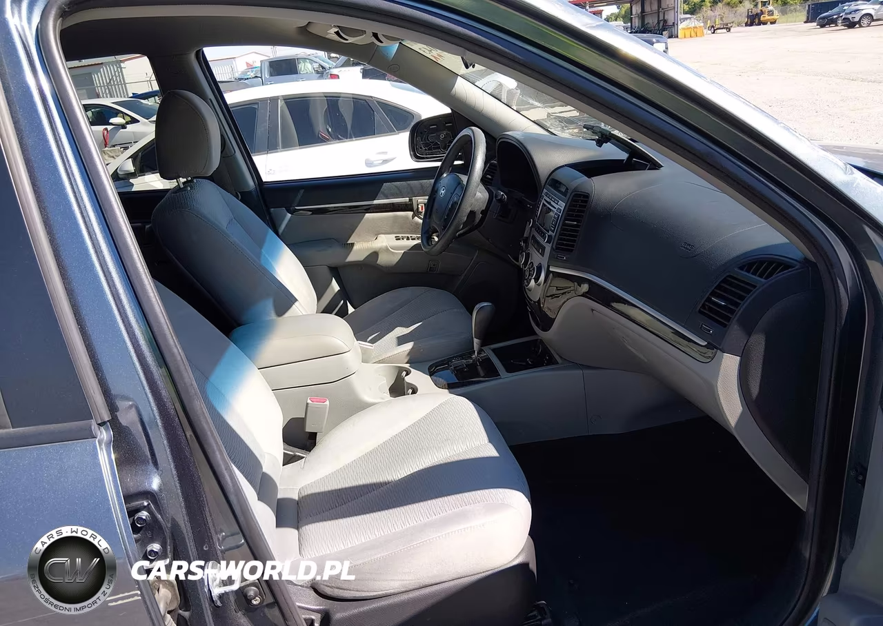 2009 Hyundai Santa Fe Gls VIN:5NMSG13D39H251729 - 5