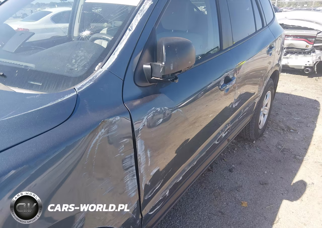 2009 Hyundai Santa Fe Gls VIN:5NMSG13D39H251729 - 6