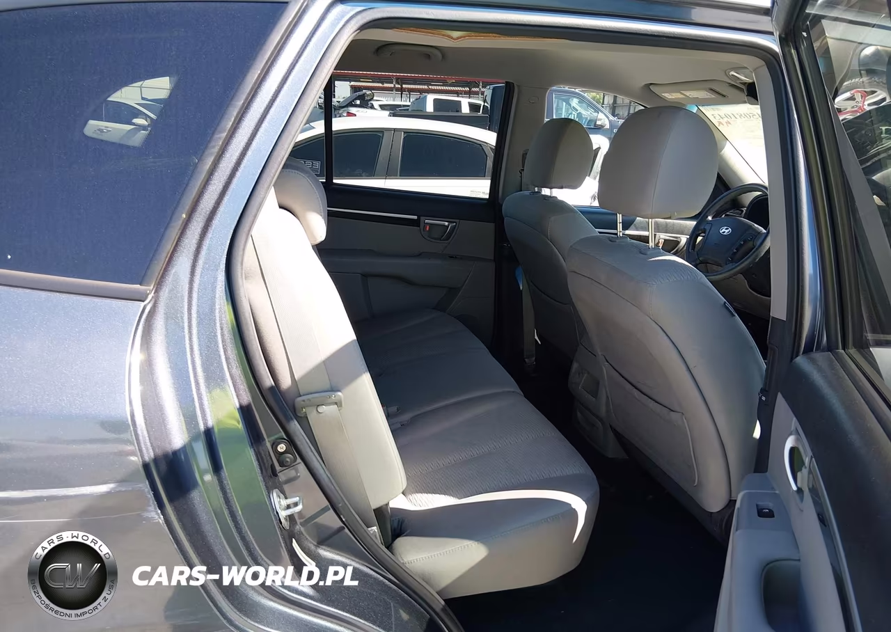 2009 Hyundai Santa Fe Gls VIN:5NMSG13D39H251729 - 8