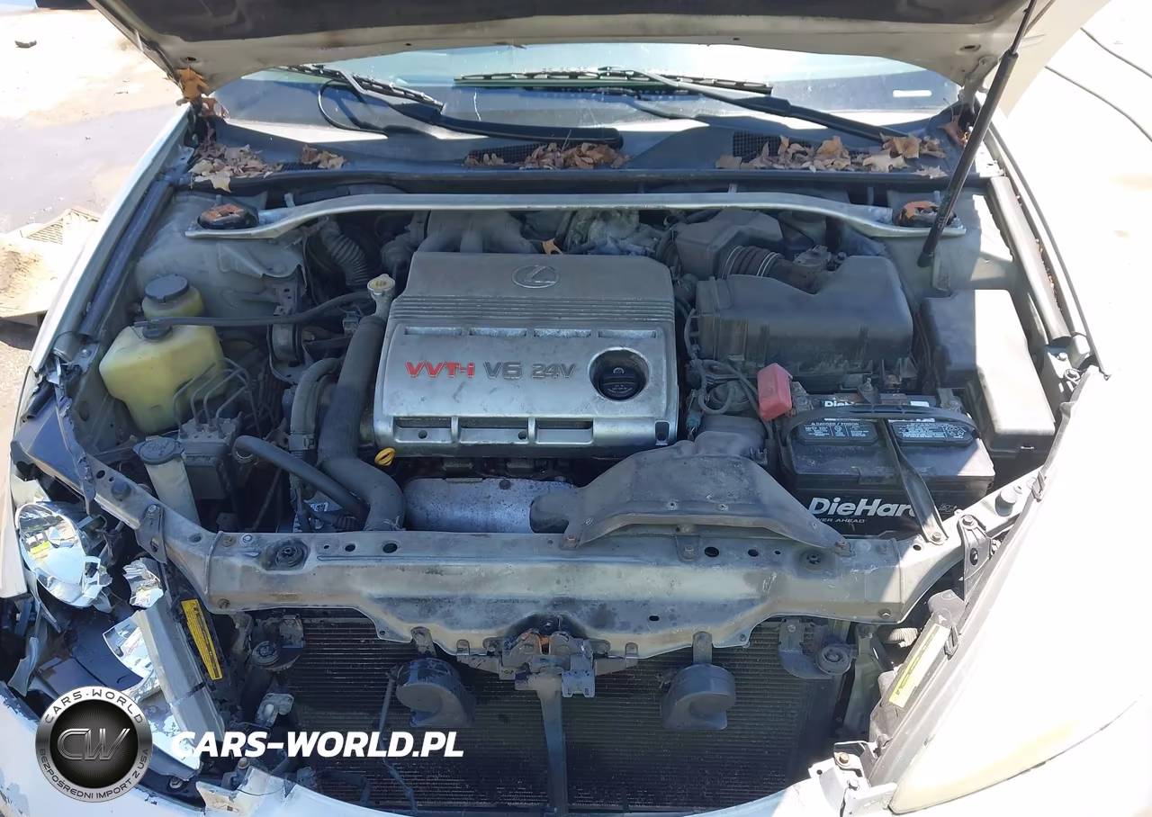 2003 Lexus Es 300 VIN:JTHBF30G436012450 - 10