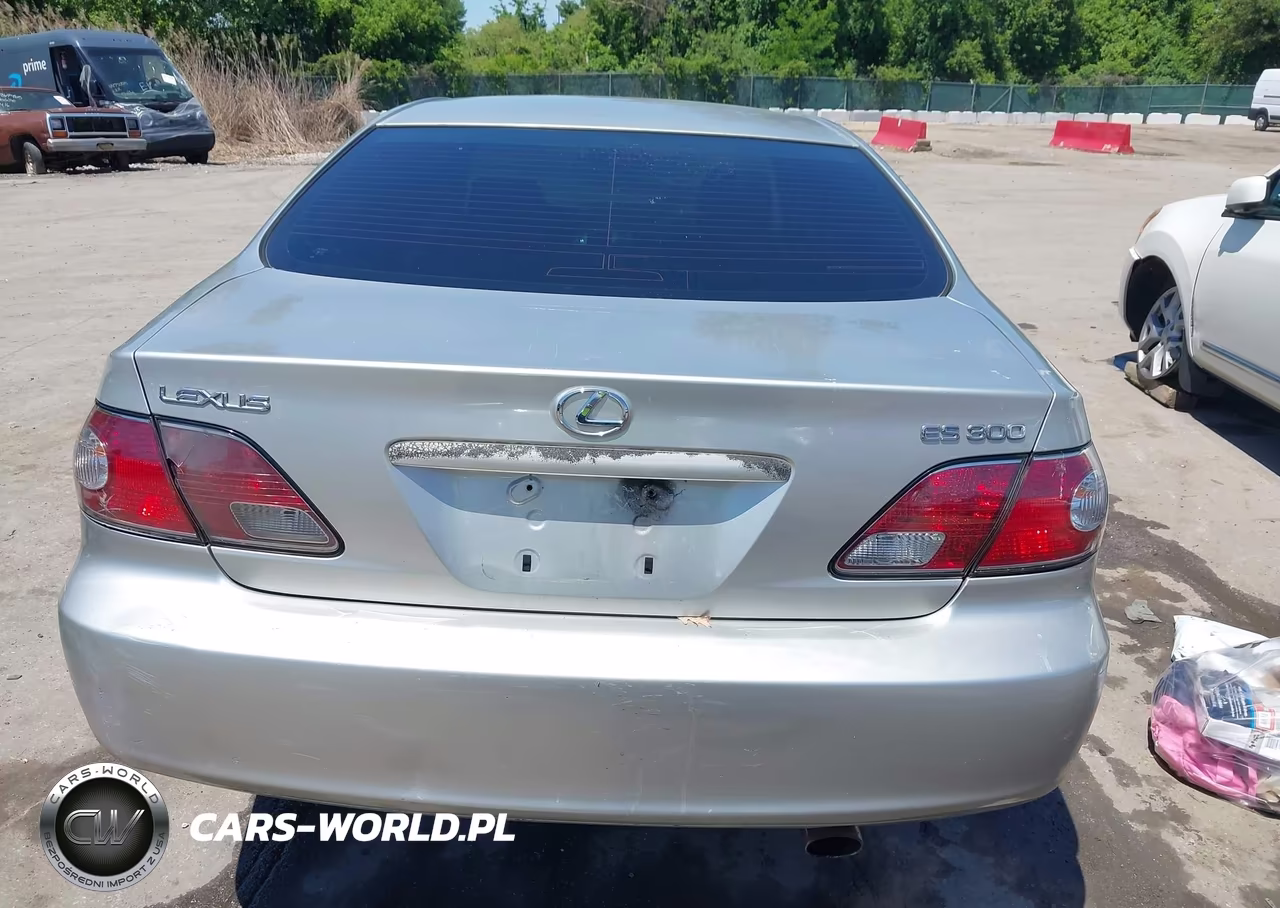 2003 Lexus Es 300 VIN:JTHBF30G436012450 - 17