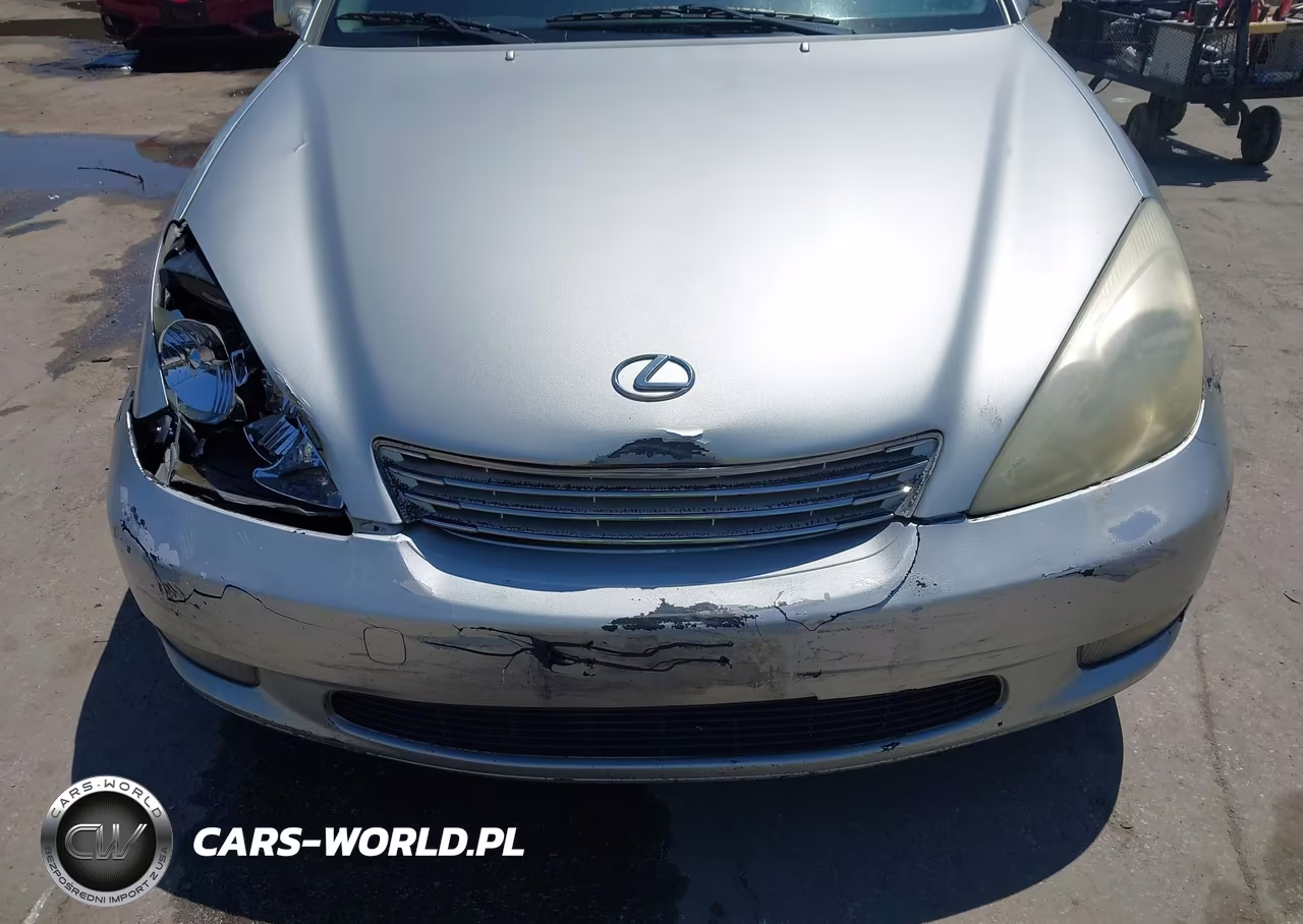 2003 Lexus Es 300 VIN:JTHBF30G436012450 - 18