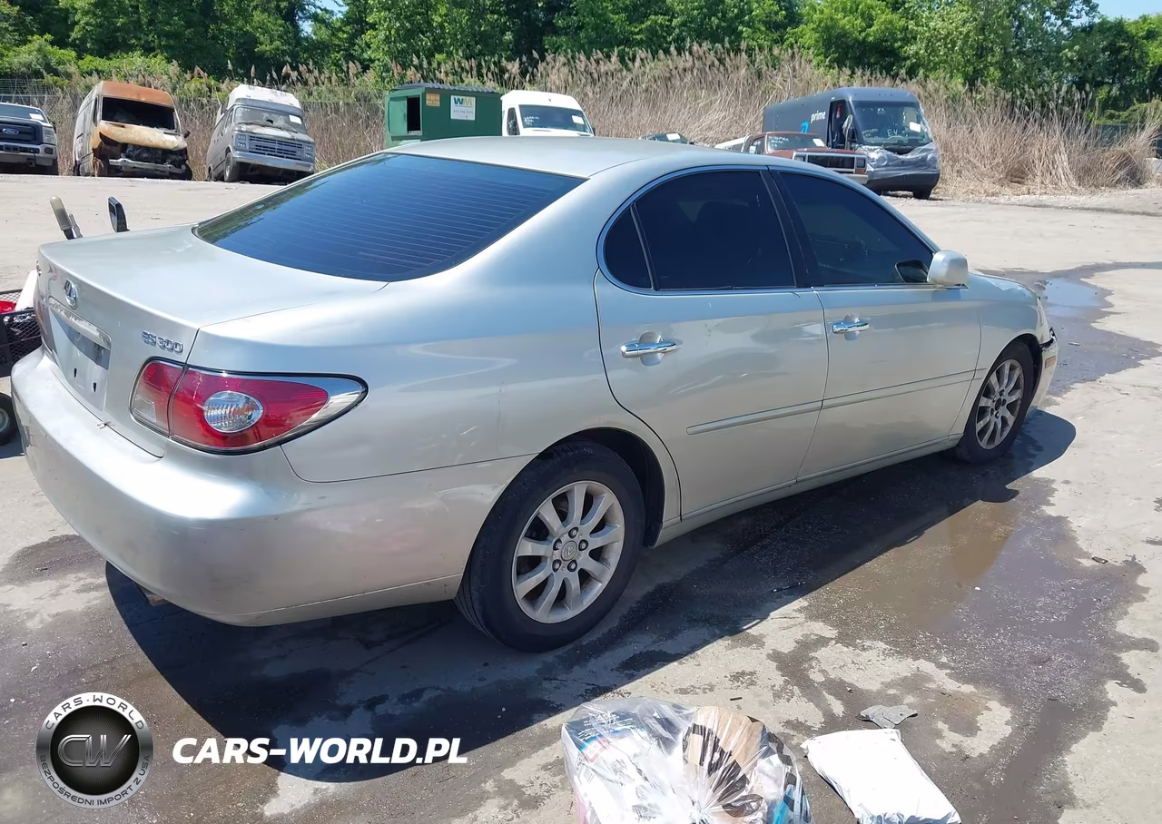 2003 Lexus Es 300 VIN:JTHBF30G436012450 - 4