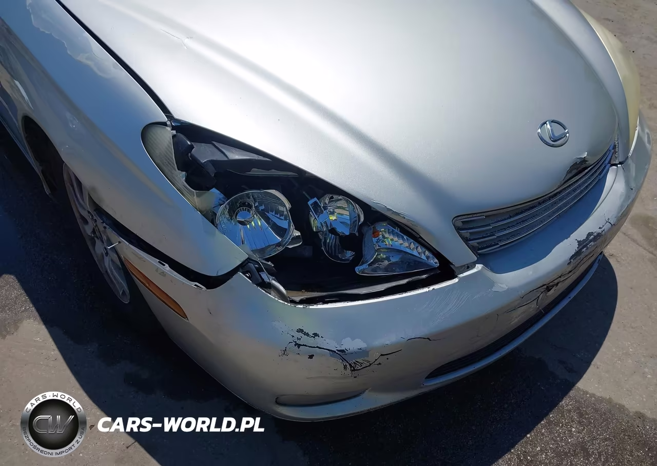 2003 Lexus Es 300 VIN:JTHBF30G436012450 - 6