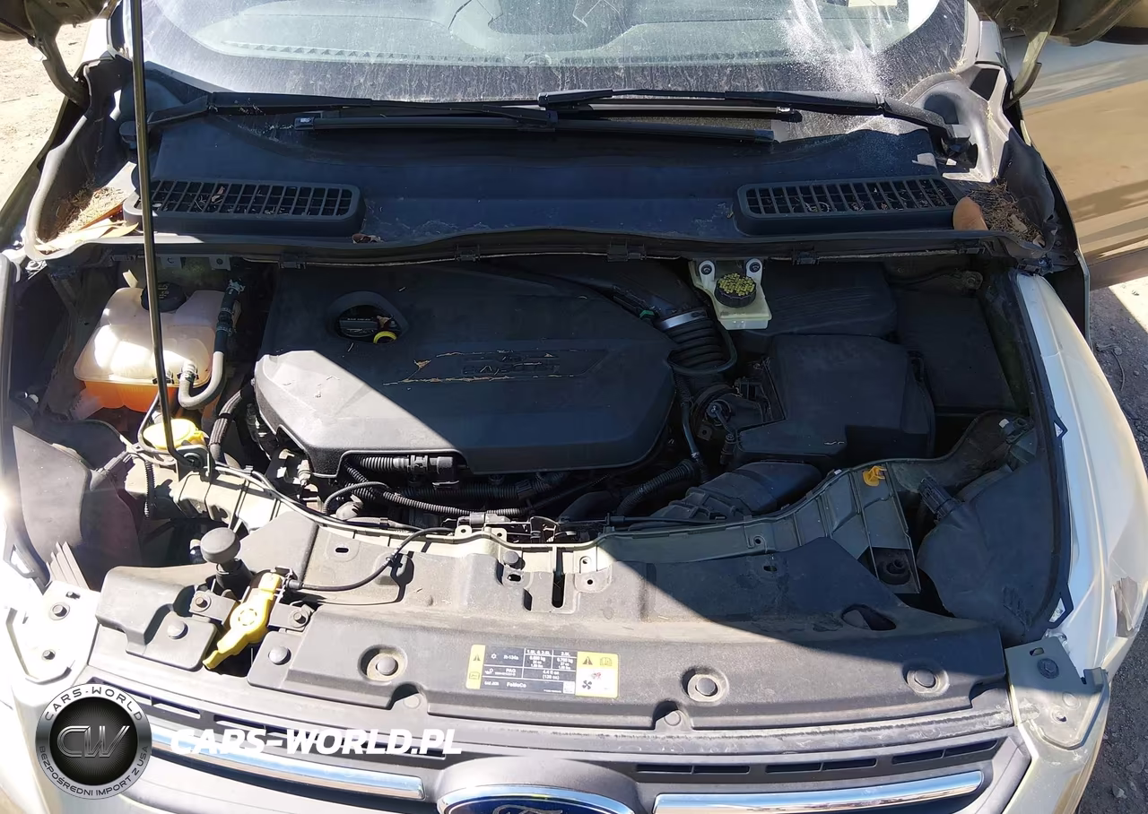 2014 Ford Escape Se VIN:1FMCU9GX8EUA09985 - 10
