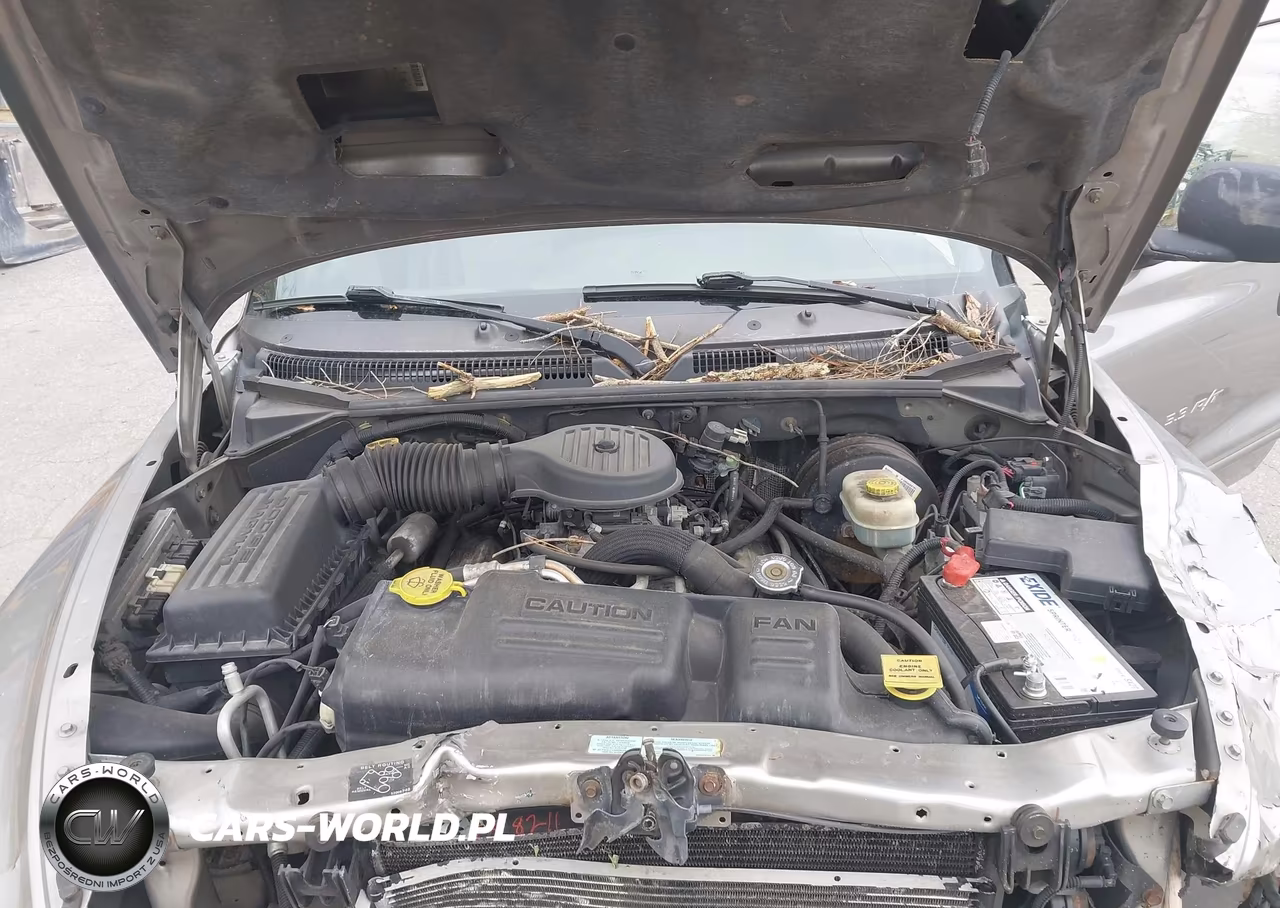 2000 Dodge Durango VIN:1B4HS28Z3YF263150 - 10
