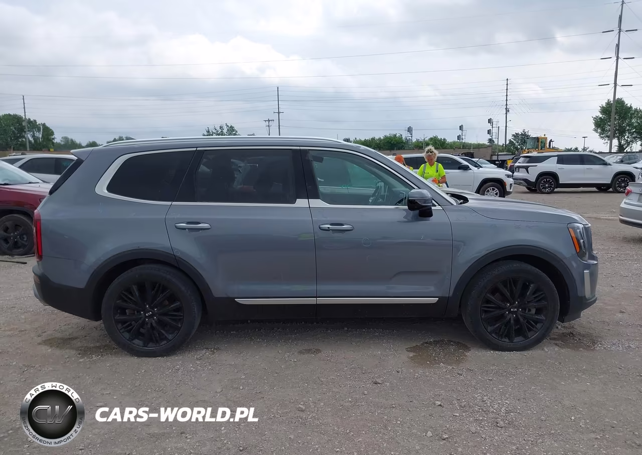 2021 Kia Telluride Sx VIN:5XYP5DHC7MG126622 - 13