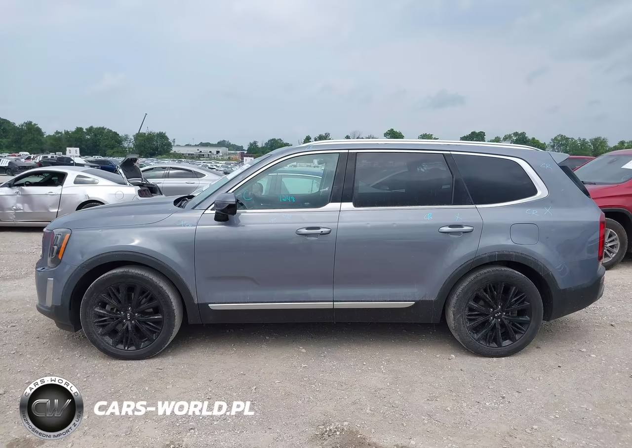 2021 Kia Telluride Sx VIN:5XYP5DHC7MG126622 - 14