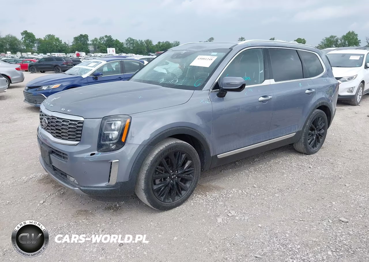 2021 Kia Telluride Sx VIN:5XYP5DHC7MG126622 - 2