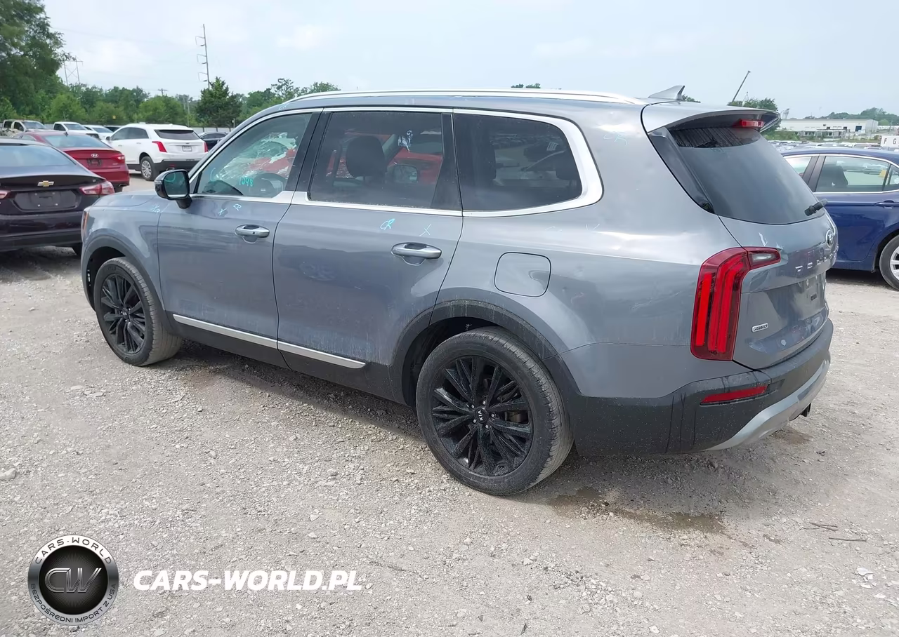 2021 Kia Telluride Sx VIN:5XYP5DHC7MG126622 - 3