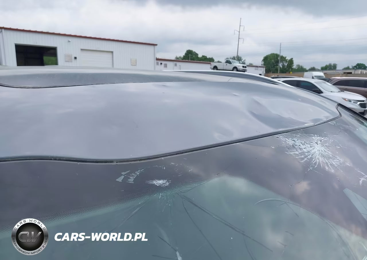 2021 Kia Telluride Sx VIN:5XYP5DHC7MG126622 - 6