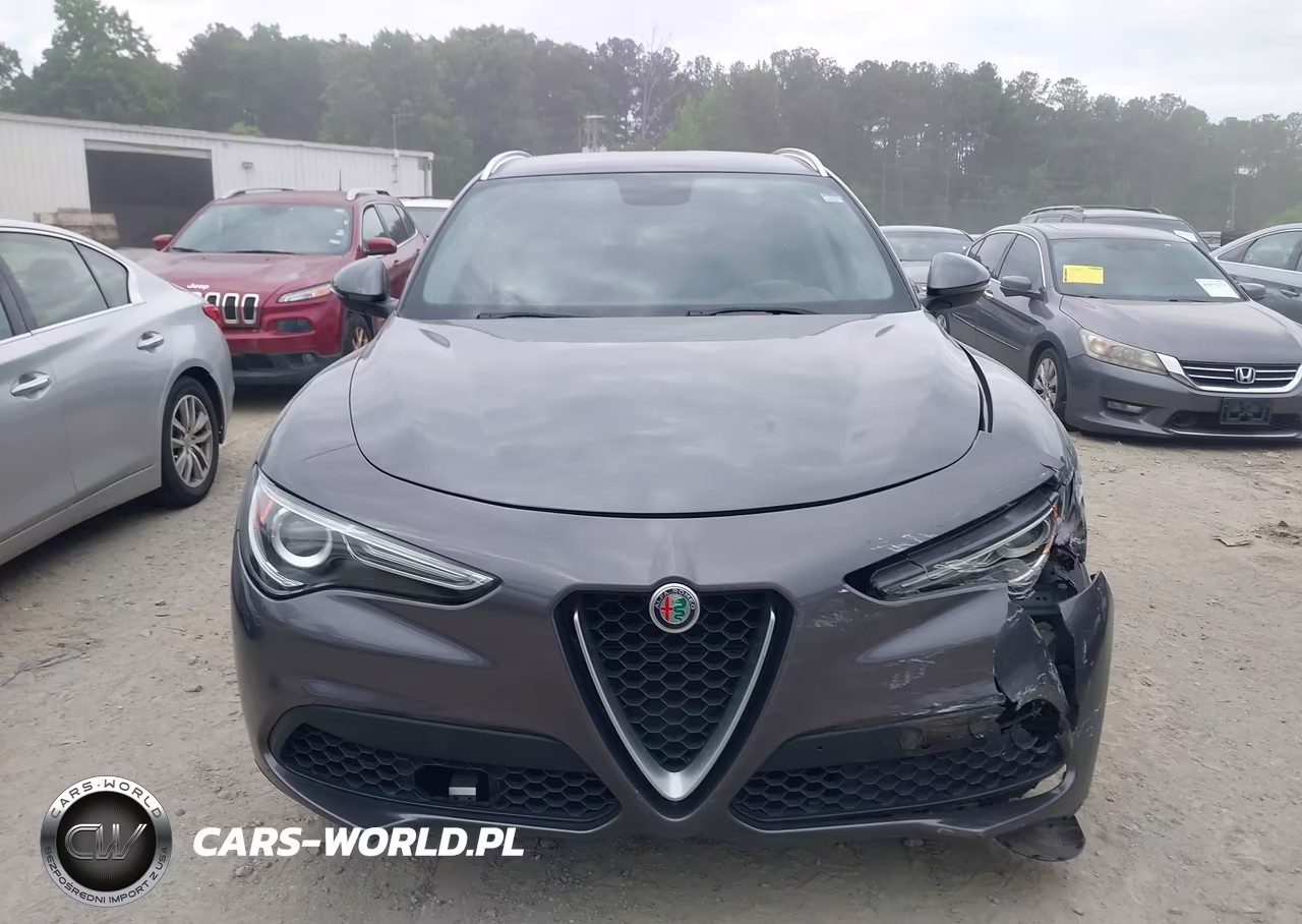 2019 Alfa Romeo Stelvio Rwd VIN:ZASPAJAN7K7C41129 - 11