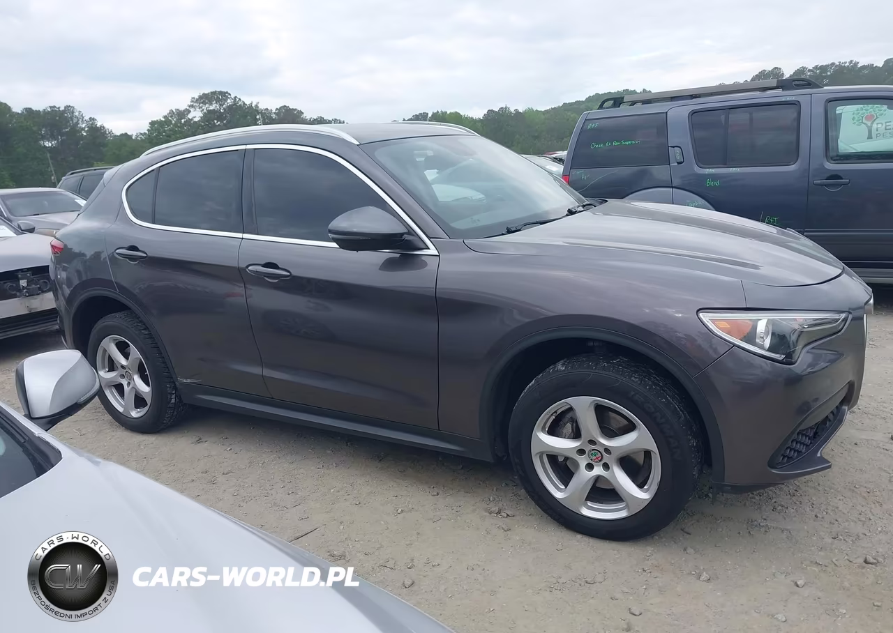 2019 Alfa Romeo Stelvio Rwd VIN:ZASPAJAN7K7C41129 - 12