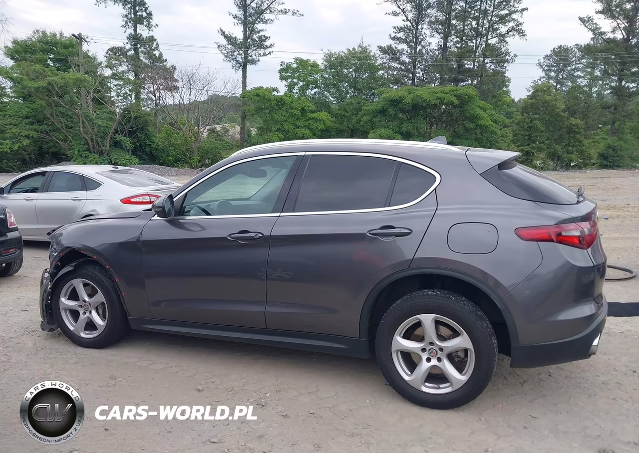 2019 Alfa Romeo Stelvio Rwd VIN:ZASPAJAN7K7C41129 - 13