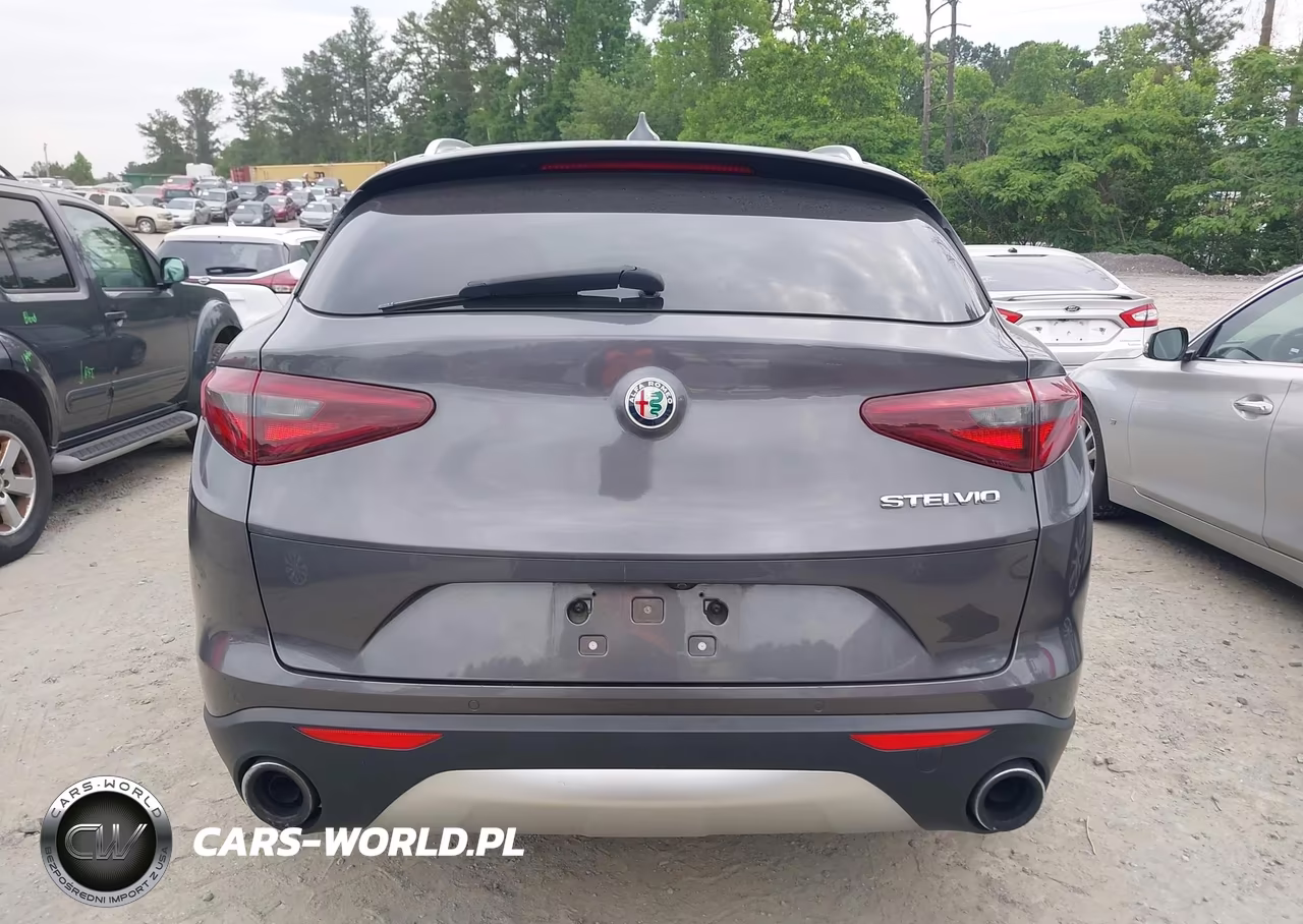 2019 Alfa Romeo Stelvio Rwd VIN:ZASPAJAN7K7C41129 - 15