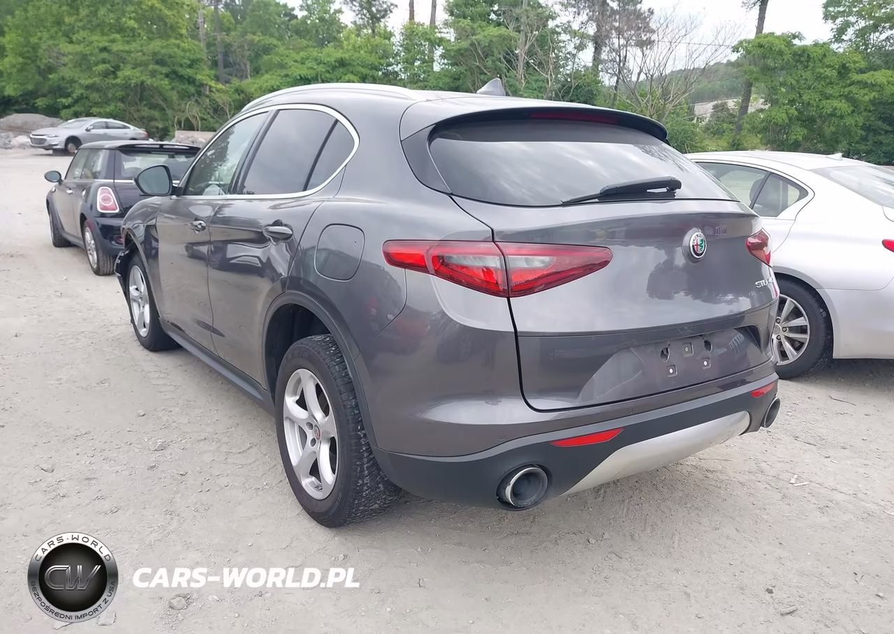 2019 Alfa Romeo Stelvio Rwd VIN:ZASPAJAN7K7C41129 - 3