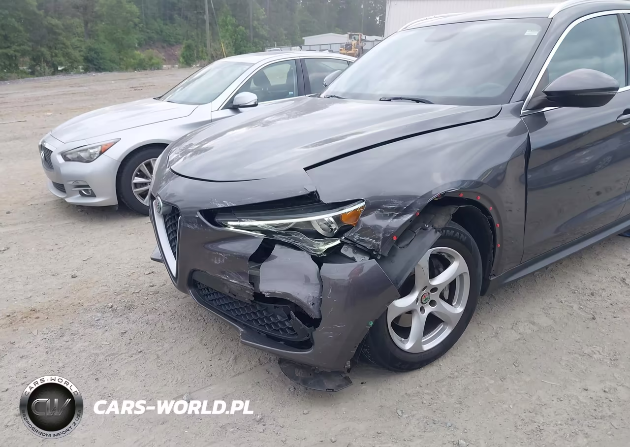 2019 Alfa Romeo Stelvio Rwd VIN:ZASPAJAN7K7C41129 - 6