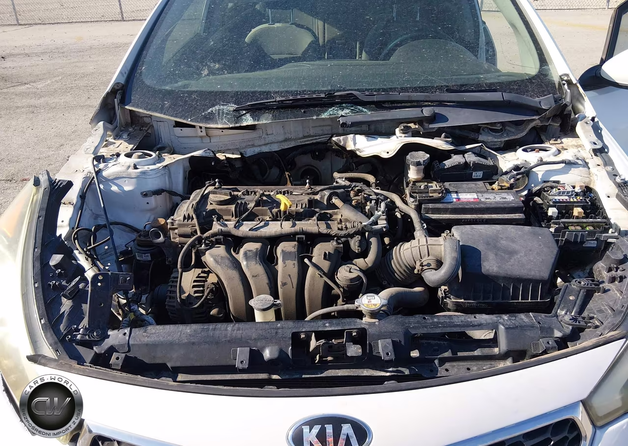 2014 Kia Forte Lx VIN:KNAFX4A60E5092587 - 10
