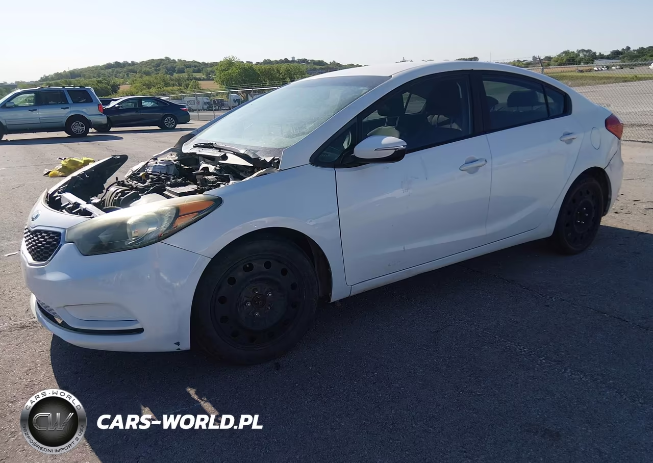 2014 Kia Forte Lx VIN:KNAFX4A60E5092587 - 2