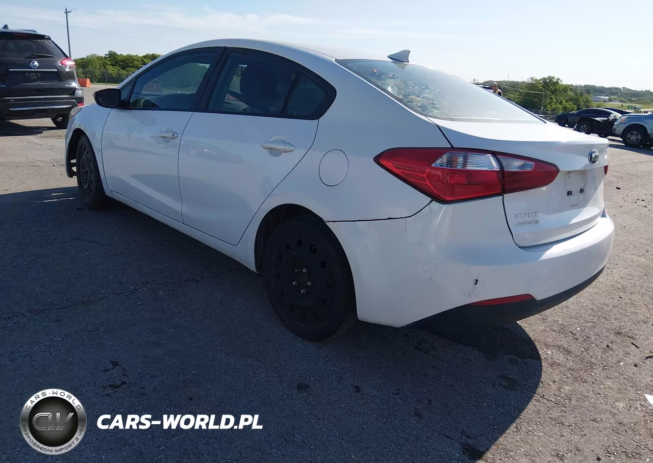 2014 Kia Forte Lx VIN:KNAFX4A60E5092587 - 3