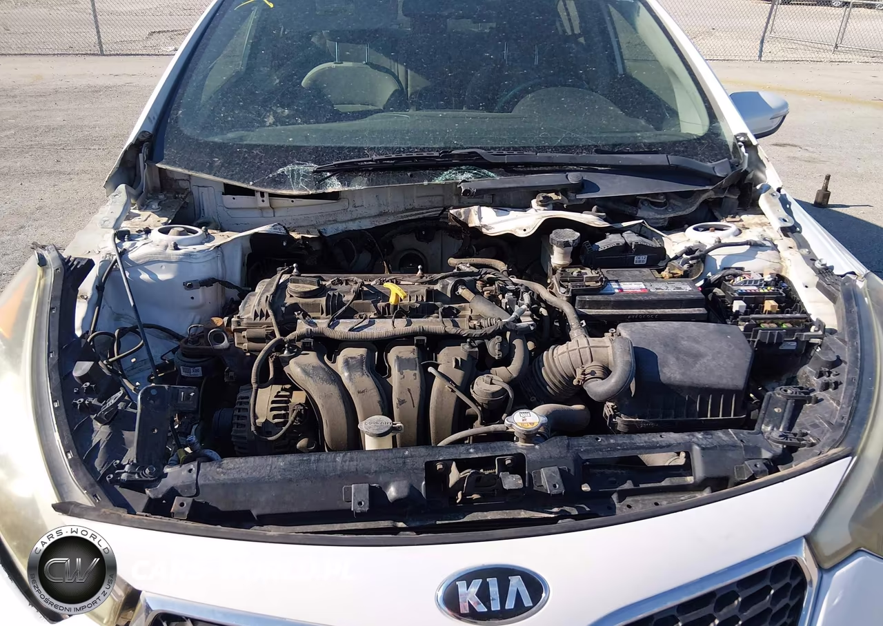2014 Kia Forte Lx VIN:KNAFX4A60E5092587 - 6