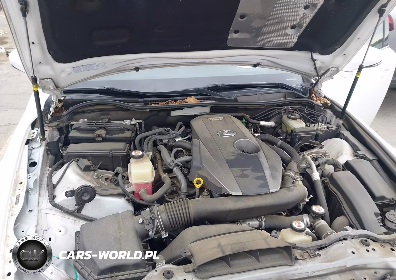 2019 Lexus Is 300 VIN:JTHBA1D21K5085300 - 10
