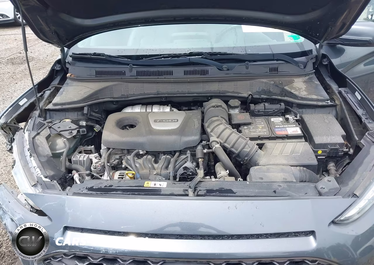 2019 Hyundai Kona Limited VIN:KM8K3CA55KU387678 - 10