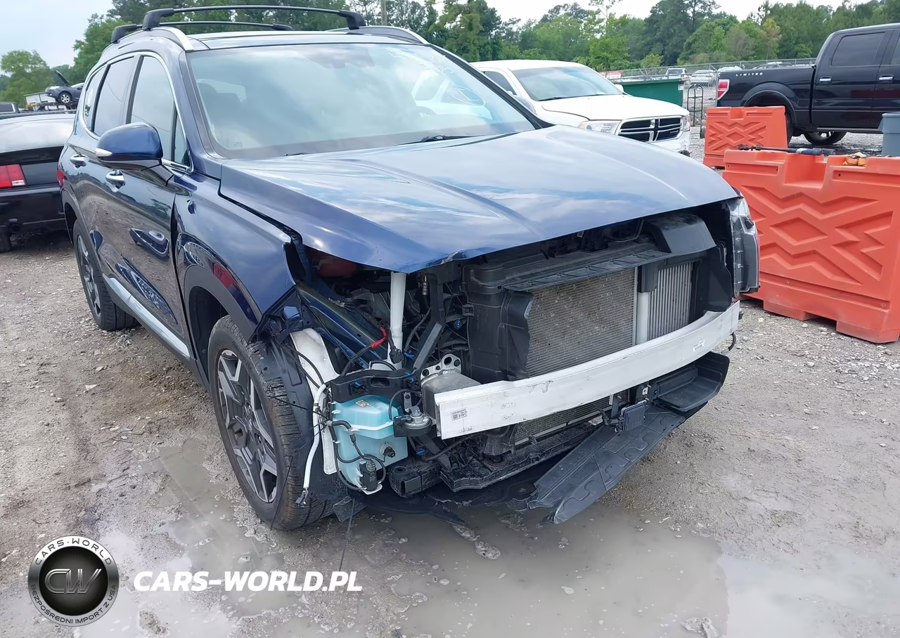 2023 Hyundai Santa Fe Limited VIN:5NMS44AL2PH597031 - 6