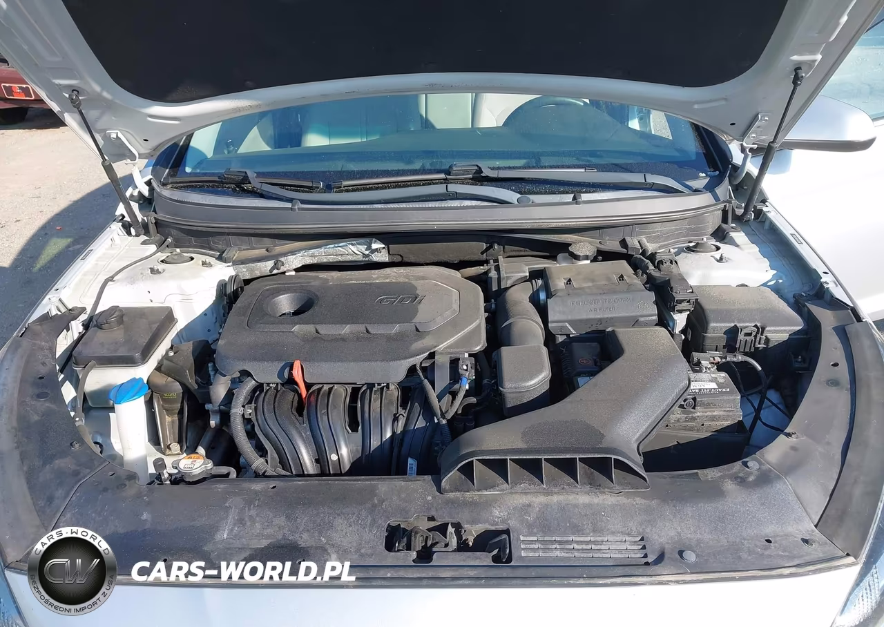 2019 Hyundai Sonata Se VIN:5NPE24AF0KH758923 - 10