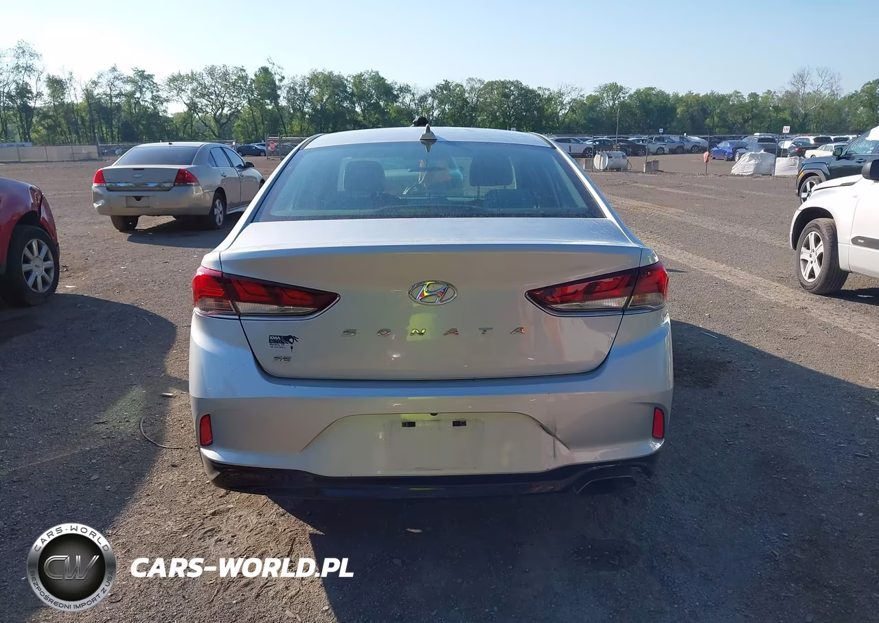 2019 Hyundai Sonata Se VIN:5NPE24AF0KH758923 - 16