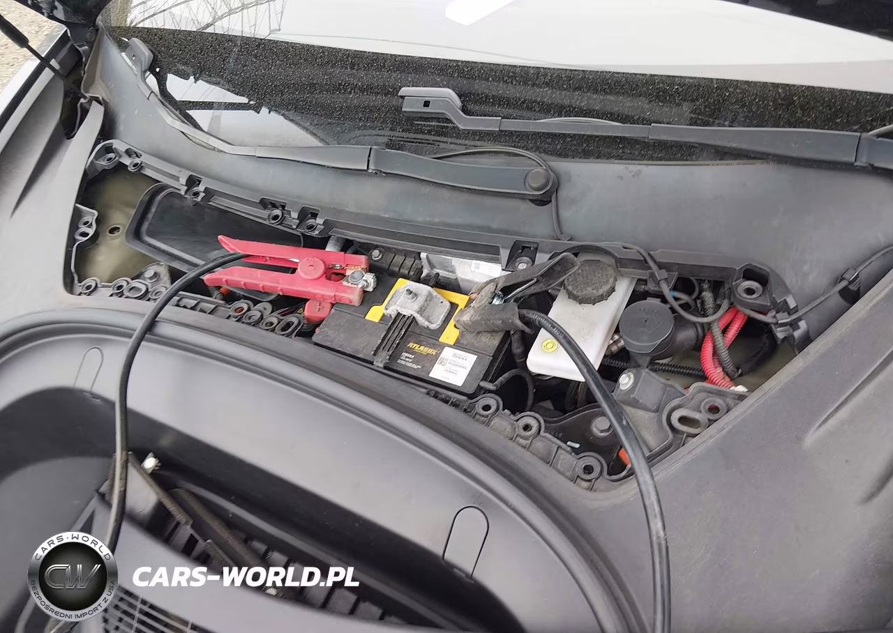 2019 Tesla Model 3 Long Range-Mid Range-Standard Range-Standard Range Plus VIN:5YJ3E1EA9KF307418 - 10