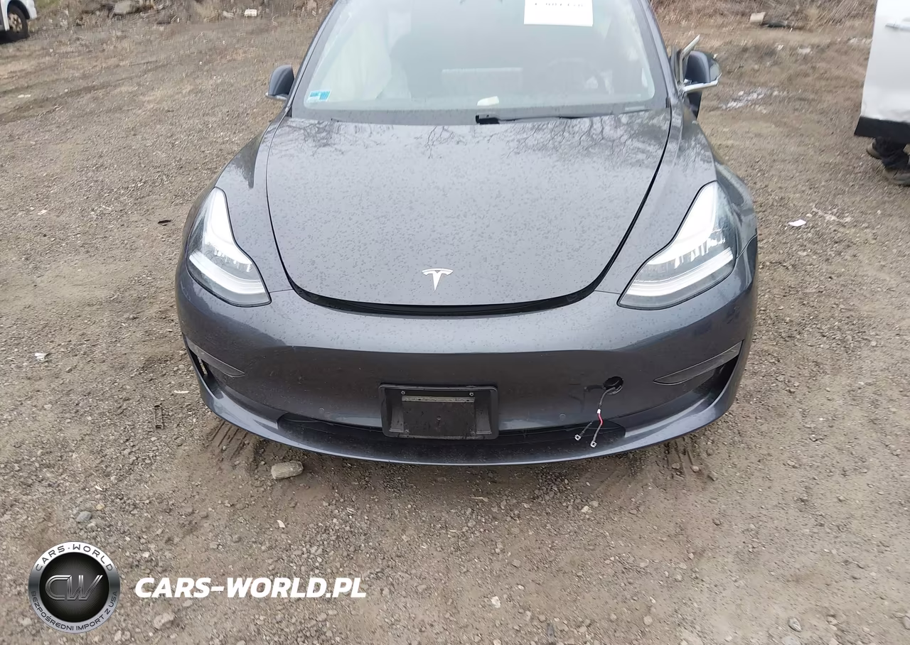 2019 Tesla Model 3 Long Range-Mid Range-Standard Range-Standard Range Plus VIN:5YJ3E1EA9KF307418 - 11