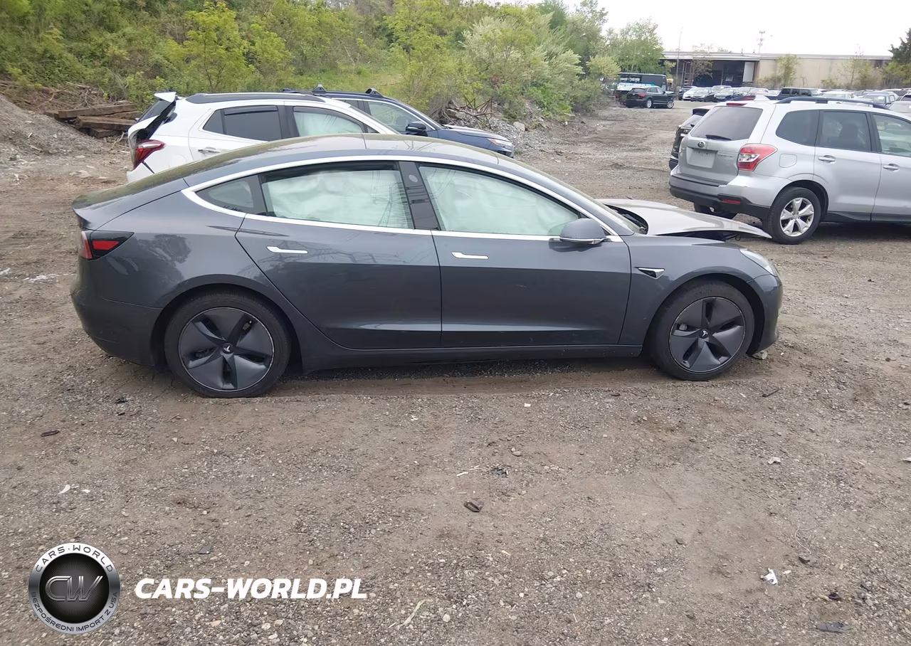 2019 Tesla Model 3 Long Range-Mid Range-Standard Range-Standard Range Plus VIN:5YJ3E1EA9KF307418 - 12