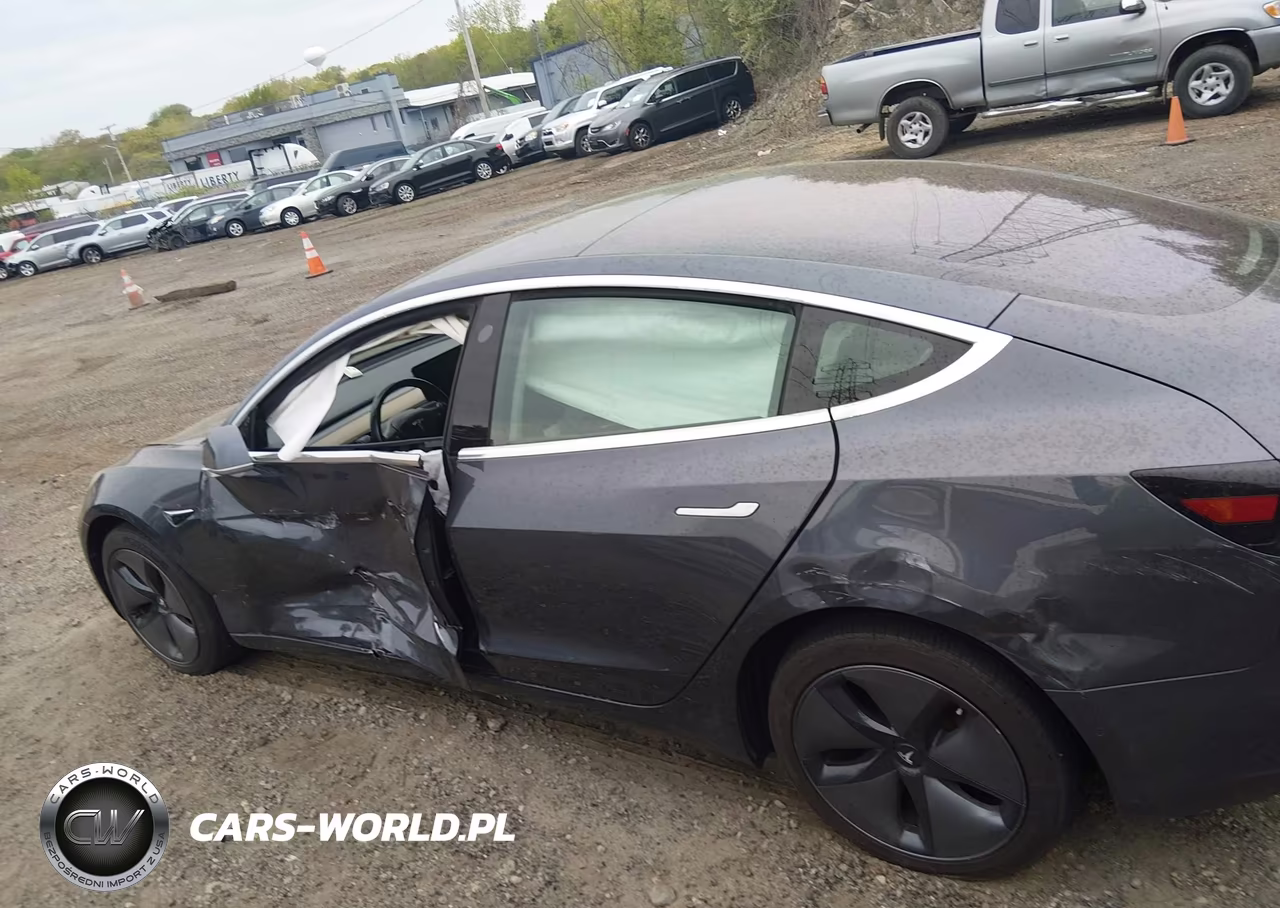 2019 Tesla Model 3 Long Range-Mid Range-Standard Range-Standard Range Plus VIN:5YJ3E1EA9KF307418 - 13