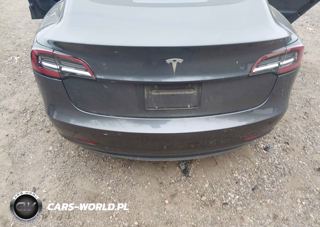 2019 Tesla Model 3 Long Range-Mid Range-Standard Range-Standard Range Plus VIN:5YJ3E1EA9KF307418 - 15