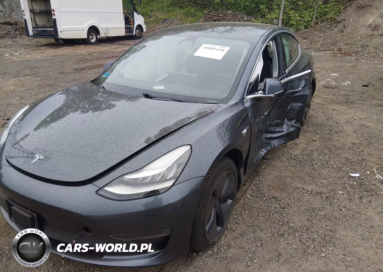 2019 Tesla Model 3 Long Range-Mid Range-Standard Range-Standard Range Plus VIN:5YJ3E1EA9KF307418 - 2