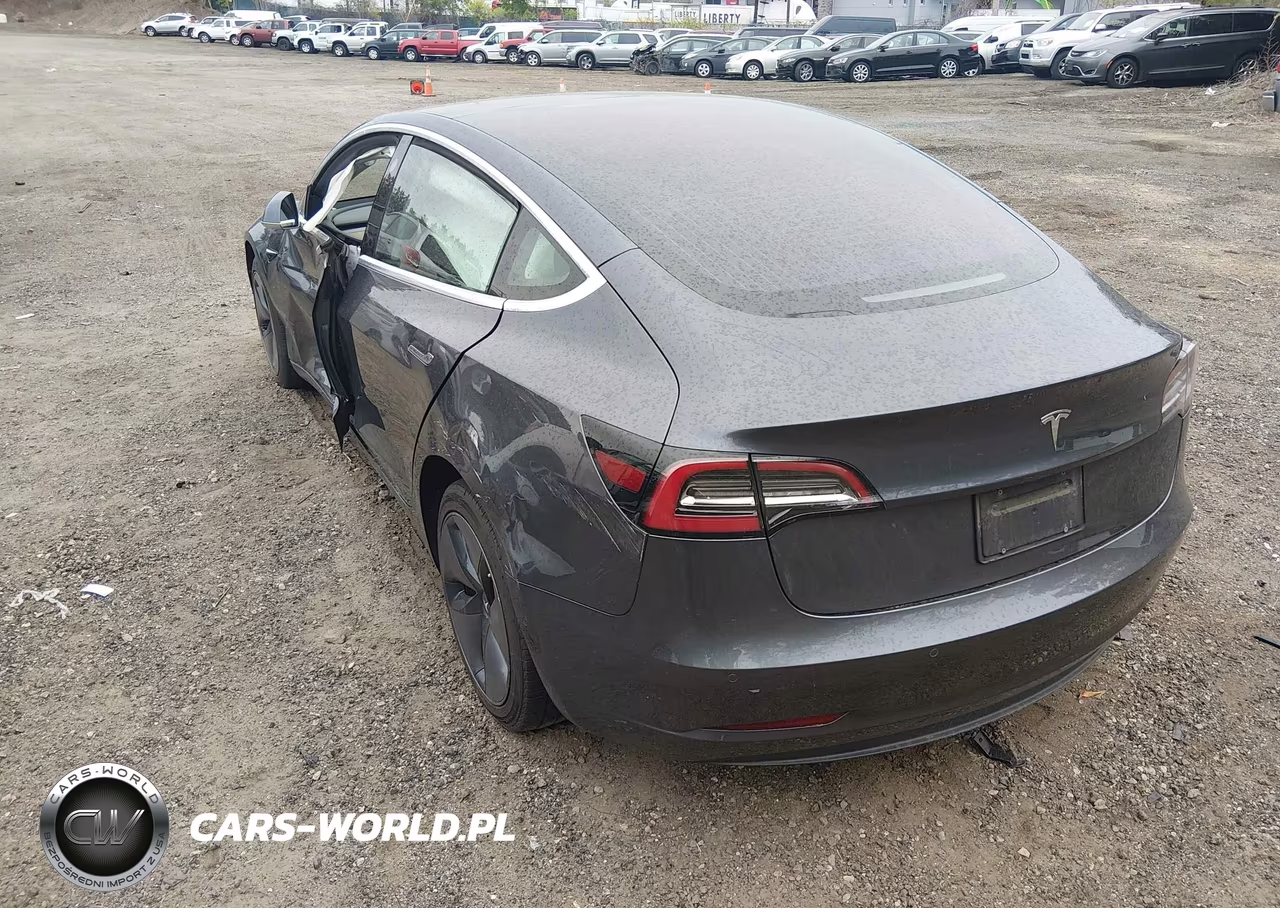 2019 Tesla Model 3 Long Range-Mid Range-Standard Range-Standard Range Plus VIN:5YJ3E1EA9KF307418 - 3