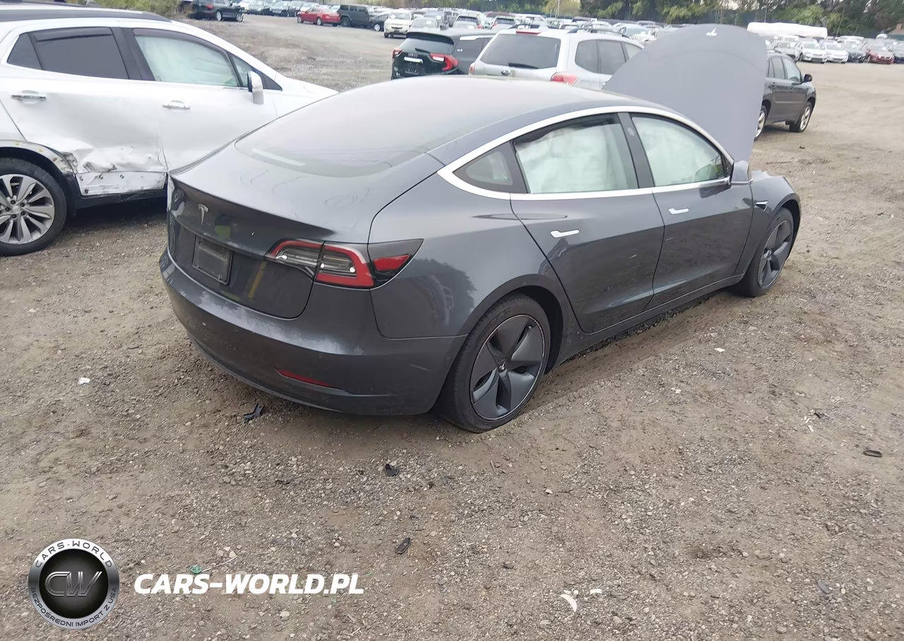 2019 Tesla Model 3 Long Range-Mid Range-Standard Range-Standard Range Plus VIN:5YJ3E1EA9KF307418 - 4