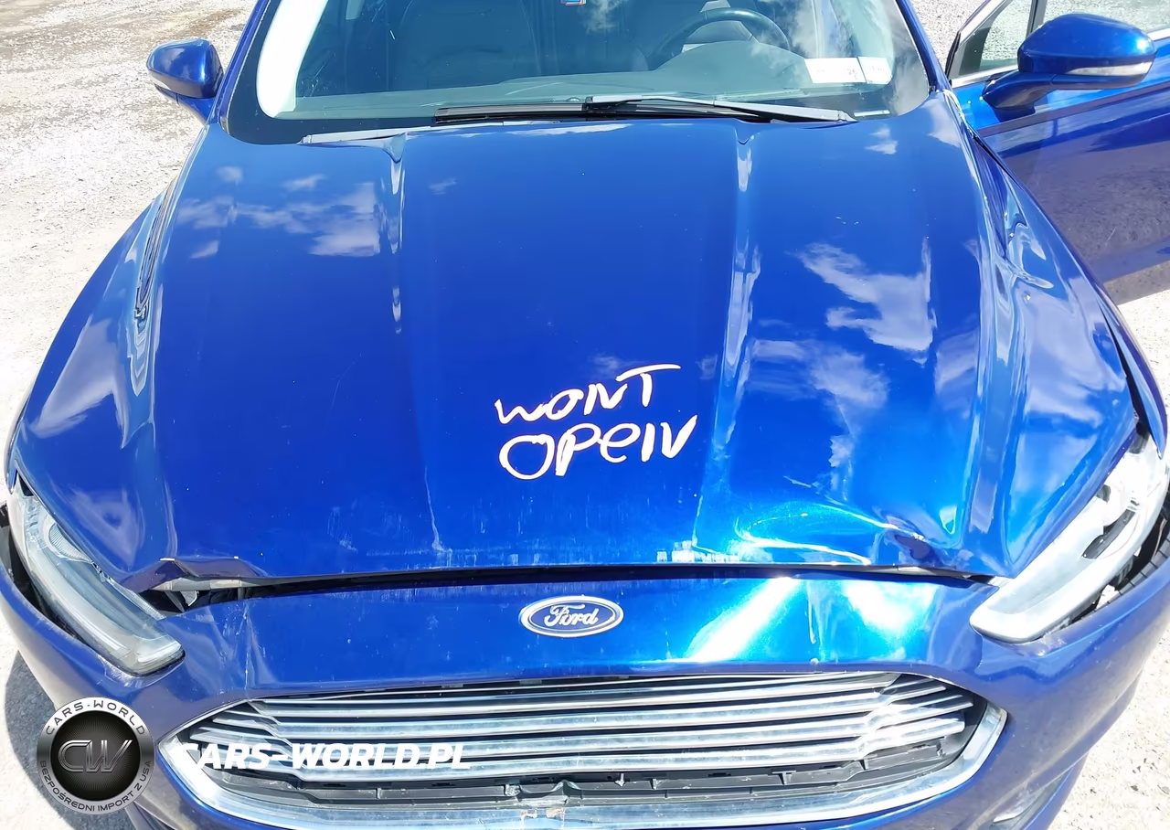 2013 Ford Fusion Energi Se Luxury VIN:3FA6P0PU8DR285749 - 10