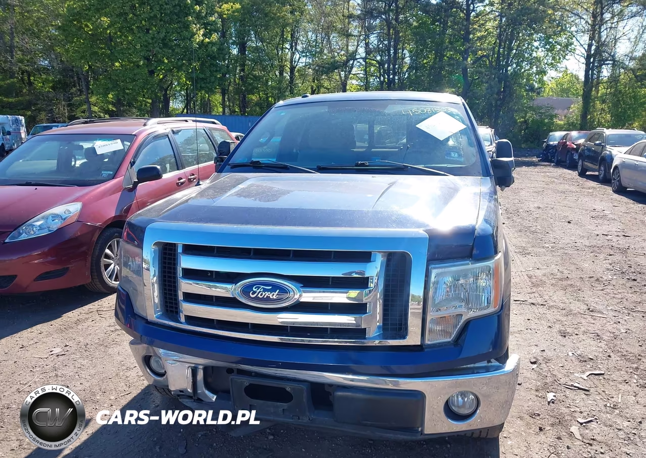 2010 Ford F-150 Xlt VIN:1FTEX1C80AFD69691 - 12