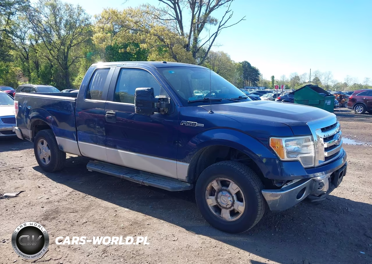 2010 Ford F-150 Xlt VIN:1FTEX1C80AFD69691 - 13