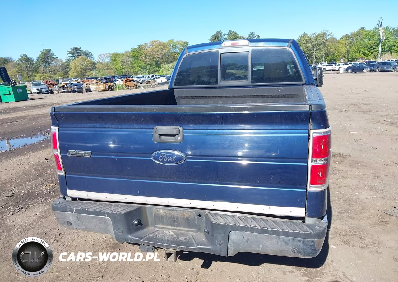 2010 Ford F-150 Xlt VIN:1FTEX1C80AFD69691 - 16