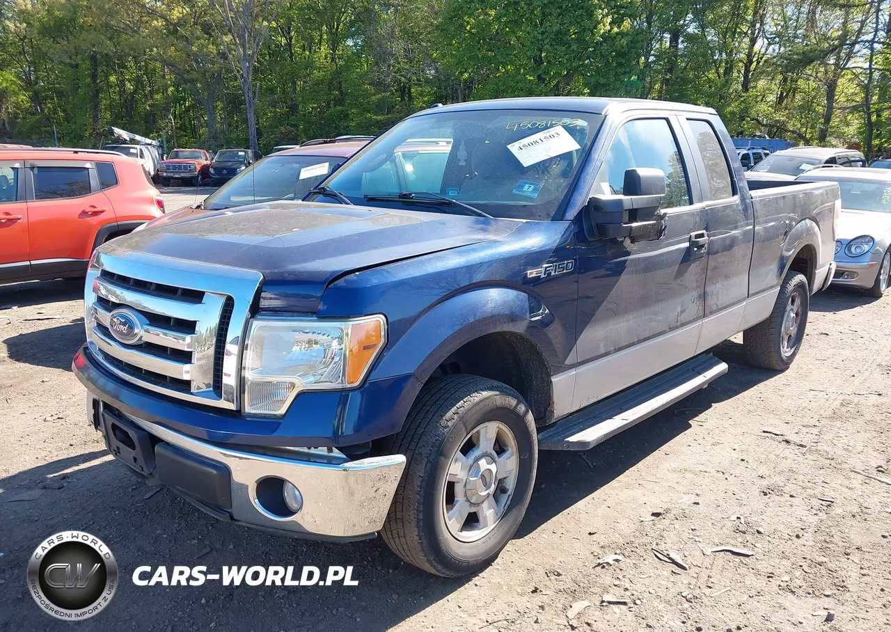 2010 Ford F-150 Xlt VIN:1FTEX1C80AFD69691 - 2