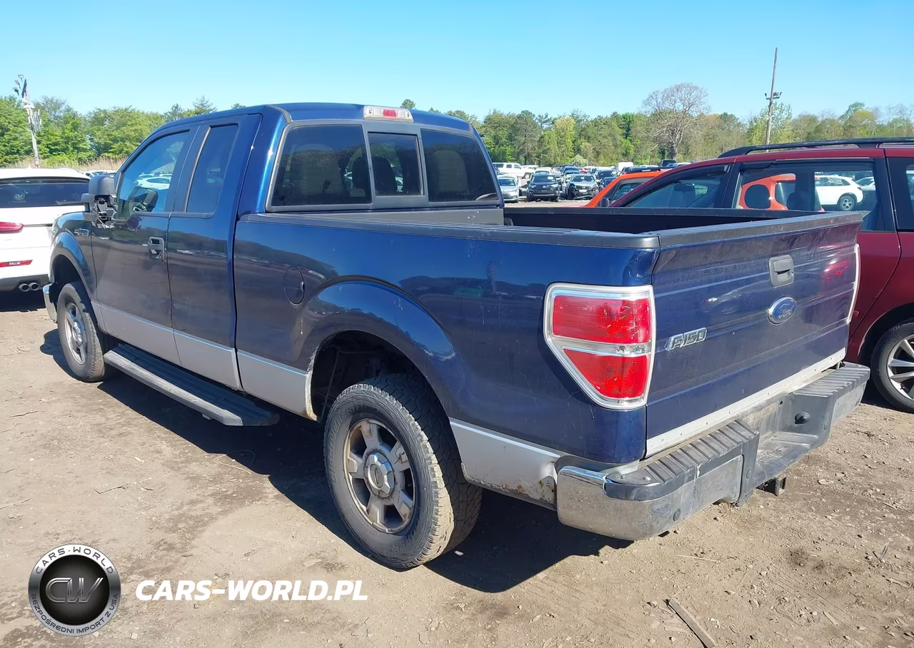 2010 Ford F-150 Xlt VIN:1FTEX1C80AFD69691 - 3